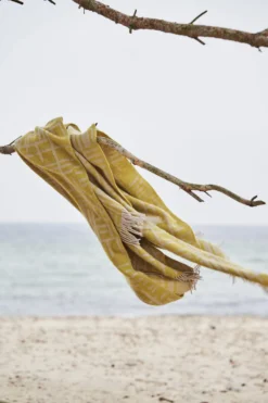 Pickepin Plaid 130x170 Cm -Huishoudtextiel Winkel 40785 01 50 ConceptImage 3c42f393f6 scaled