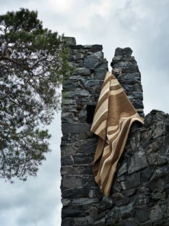 Veda Vloerkleed 250x350 Cm -Huishoudtextiel Winkel 566570 01 10 EnvironmentImage.jpg 7be7df122c