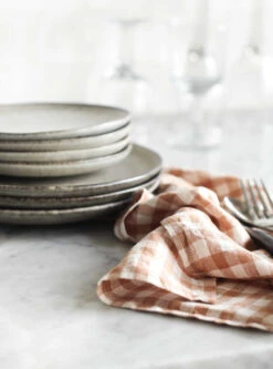 Gingham Geruite Keukenhanddoek 70x50 Cm -Huishoudtextiel Winkel 570272 01 5 EnvironmentImage 9d3df75902